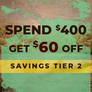 Spend $400 get $60 off footwear at Beck’s Shoes tiered savings offer