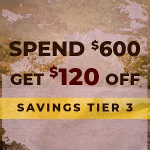Spend $600 get $120 off footwear at Beck’s Shoes tiered savings offer